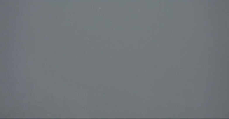 Webcam Pampeago  - Predazzo -  Obereggen - Piste Pampeago 