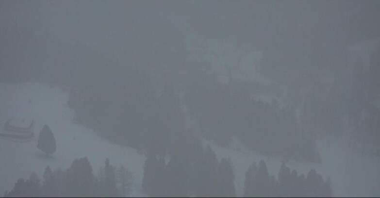 Webcam Pampeago  - Predazzo -  Obereggen - Piste Pampeago 