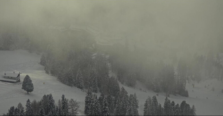 Webcam Pampeago  - Predazzo -  Obereggen - Pampeago Piste