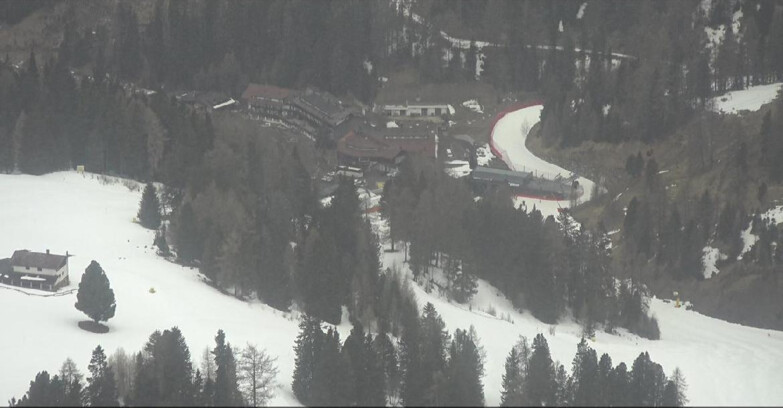 Webcam Pampeago  - Predazzo -  Obereggen - Piste Pampeago