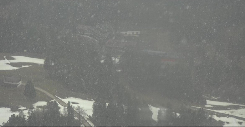 Webcam Pampeago  - Predazzo -  Obereggen - Piste Pampeago 