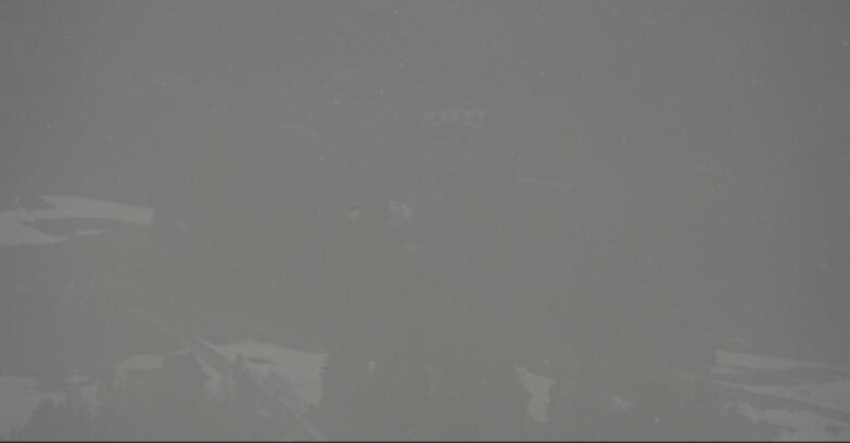 Webcam Pampeago  - Predazzo -  Obereggen - Piste Pampeago 