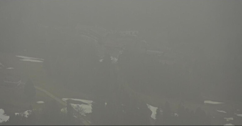 Webcam Pampeago  - Predazzo -  Obereggen - Pampeago Piste
