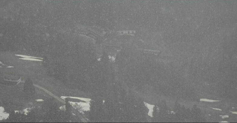 Webcam Pampeago  - Predazzo -  Obereggen - Pampeago Piste