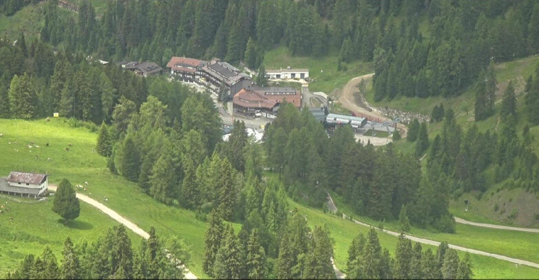 Webcam Пампеаго - Предаццо - Оберегген	 - Piste Pampeago