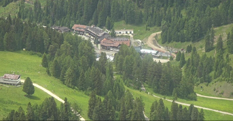 Webcam Пампеаго - Предаццо - Оберегген	 - Piste Pampeago