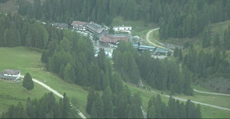 Webcam Пампеаго - Предаццо - Оберегген	 - Piste Pampeago