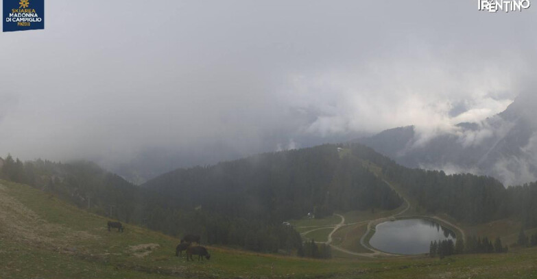 Webcam Pinzolo - Rifugio Doss del Sabion - 2100m