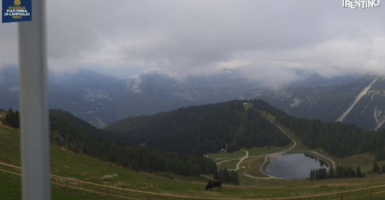 Webcam Pinzolo - Rifugio Doss del Sabion - 2100m