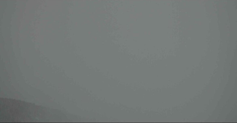 Webcam Alpe Cermis  - Cavalese