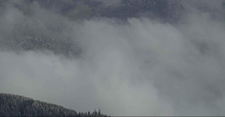 Webcam Alpe-Cermis - Cavalese 