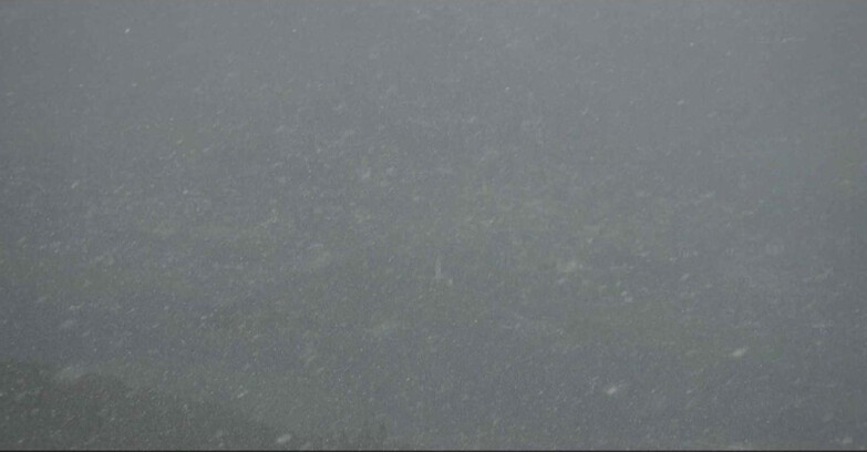 Webcam Alpe Cermis  - Cavalese