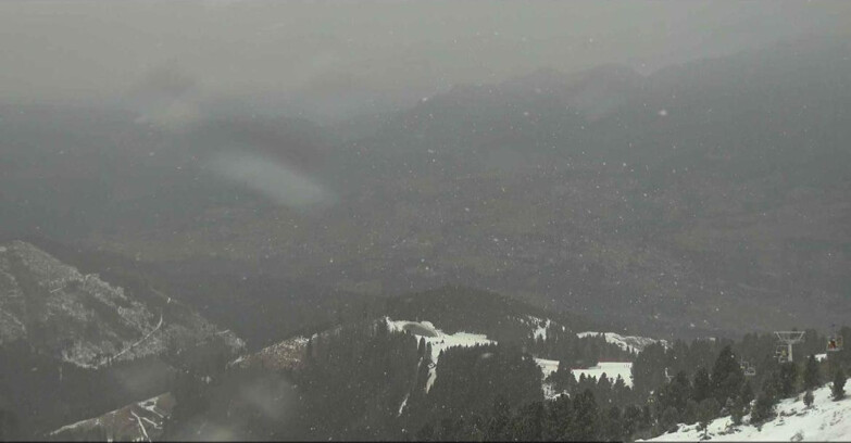 Webcam Альпе-Чермис  - Val di Fiemme