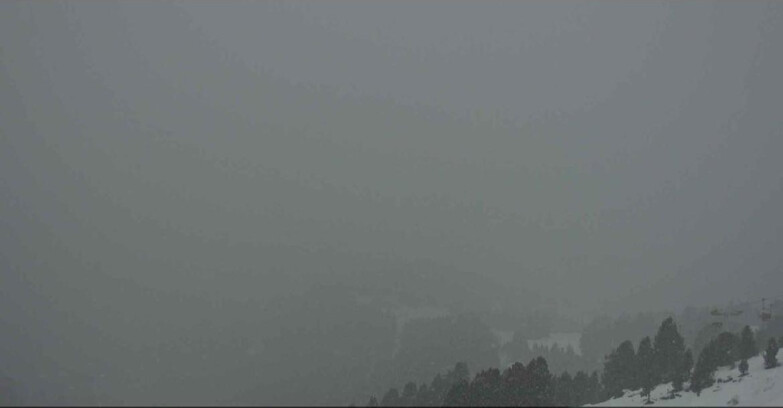 Webcam Alpe-Cermis - Bassa Val di Fiemme 