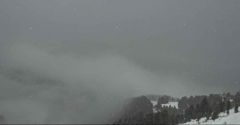 Webcam Alpe-Cermis - Bassa Val di Fiemme 