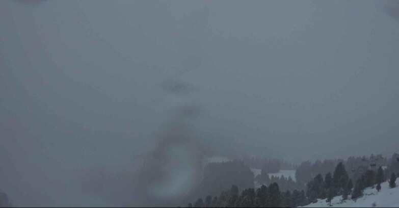 Webcam Alpe-Cermis - Bassa Val di Fiemme 