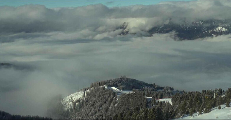 Webcam Alpe-Cermis - Bassa Val di Fiemme 