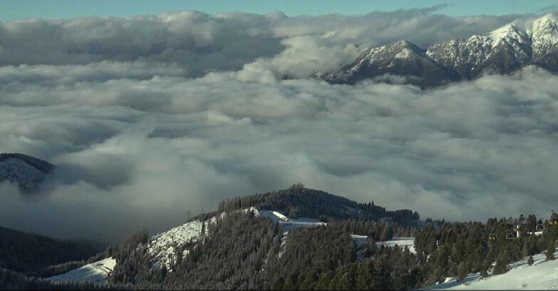 Webcam Alpe-Cermis - Bassa Val di Fiemme 