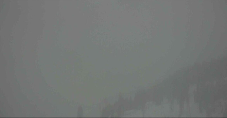 Webcam Alpe-Cermis - Bassa Val di Fiemme 