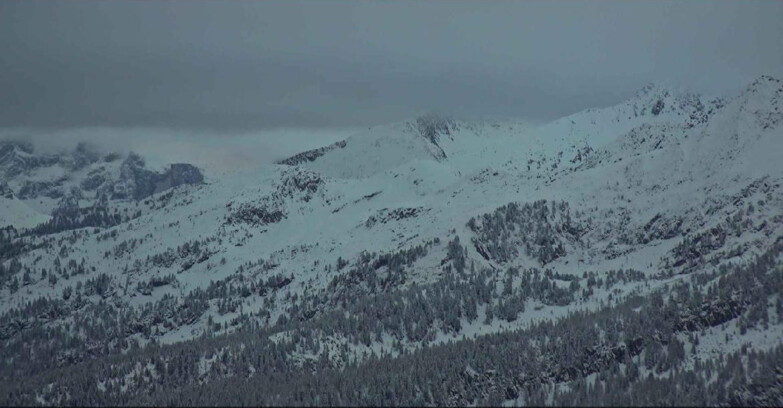 Webcam Alpe Cermis  - Val di Fiemme