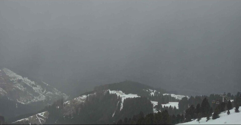 Webcam Alpe Cermis  - Val di Fiemme