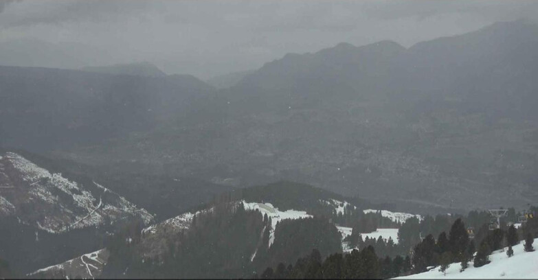 Webcam Alpe Cermis  - Val di Fiemme