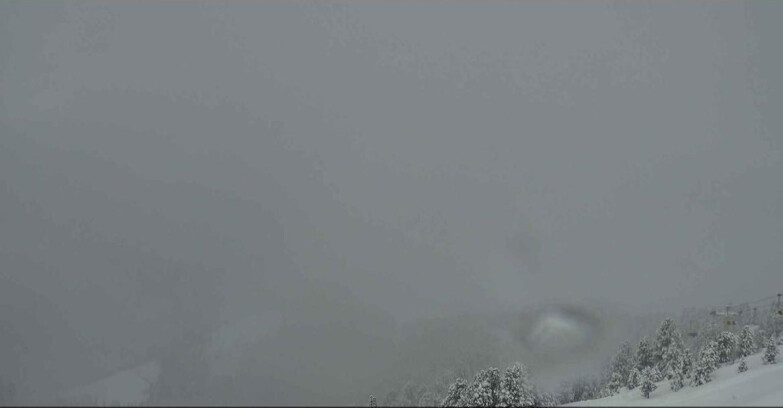Webcam Alpe Cermis  - Val di Fiemme