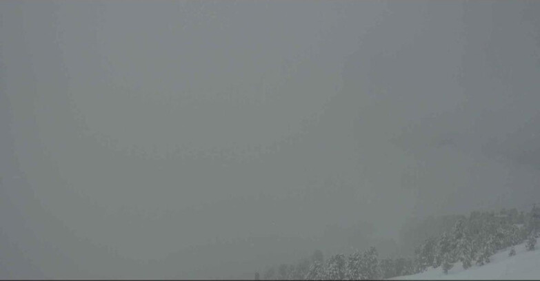 Webcam Alpe Cermis  - Val di Fiemme