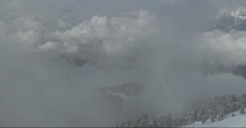 Webcam Alpe Cermis  - Val di Fiemme