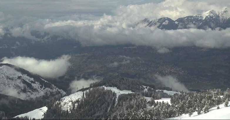 Webcam Alpe Cermis  - Val di Fiemme