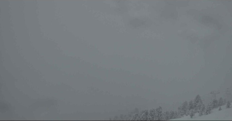 Webcam Alpe Cermis  - Val di Fiemme