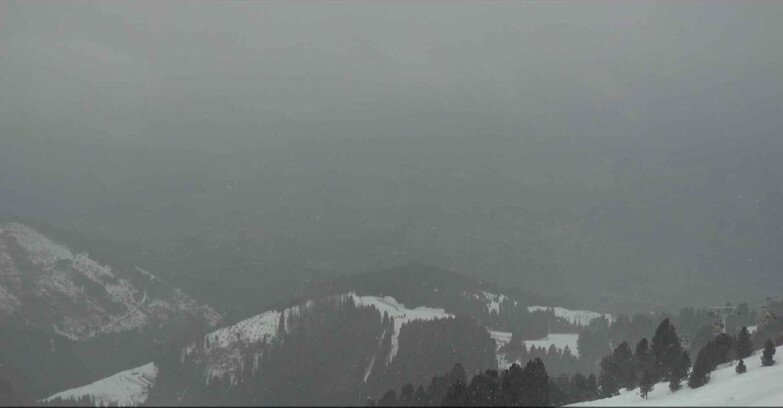 Webcam Альпе-Чермис  - Val di Fiemme