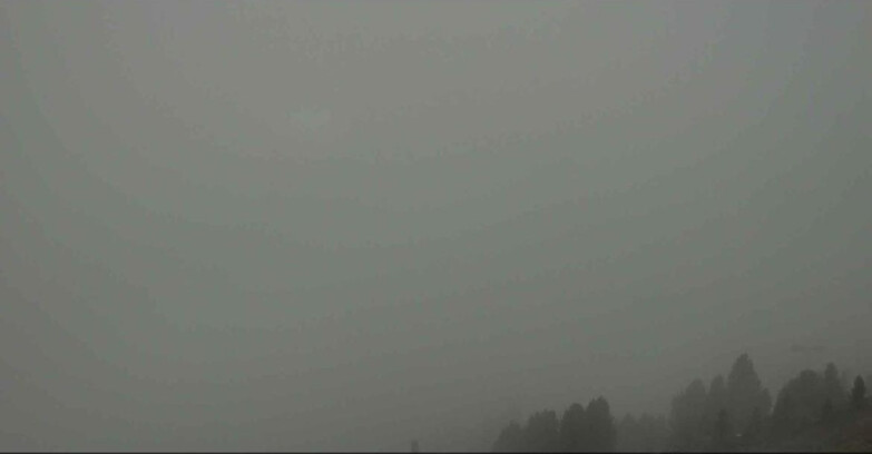 Webcam Alpe Cermis  - Val di Fiemme