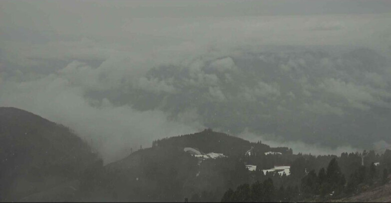 Webcam Alpe Cermis  - Val di Fiemme