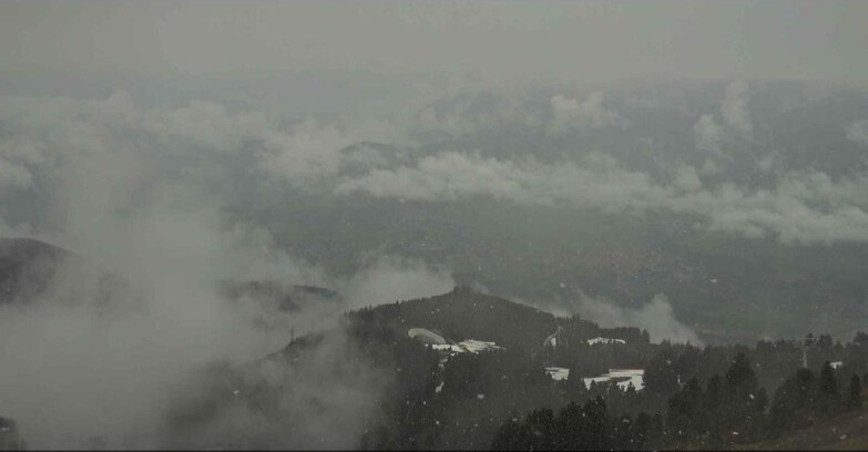 Webcam Alpe Cermis  - Val di Fiemme