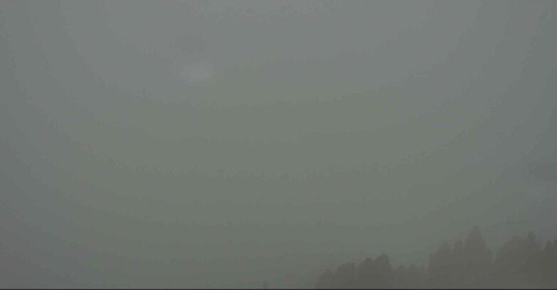 Webcam Alpe Cermis  - Val di Fiemme