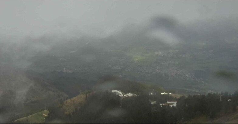 Webcam Alpe-Cermis - Bassa Val di Fiemme 