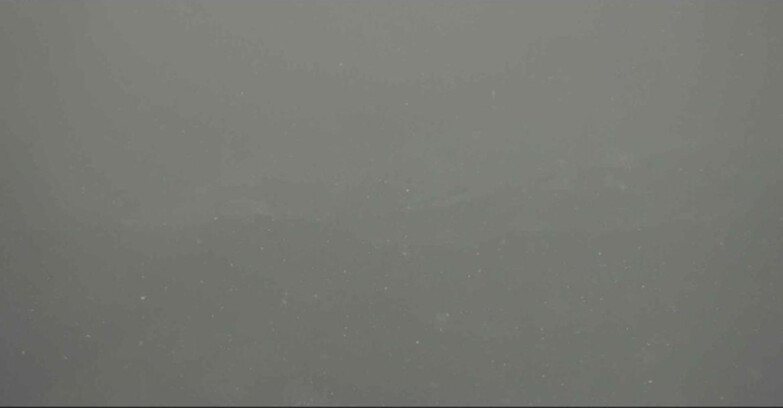 Webcam Alpe Cermis  - Latemar