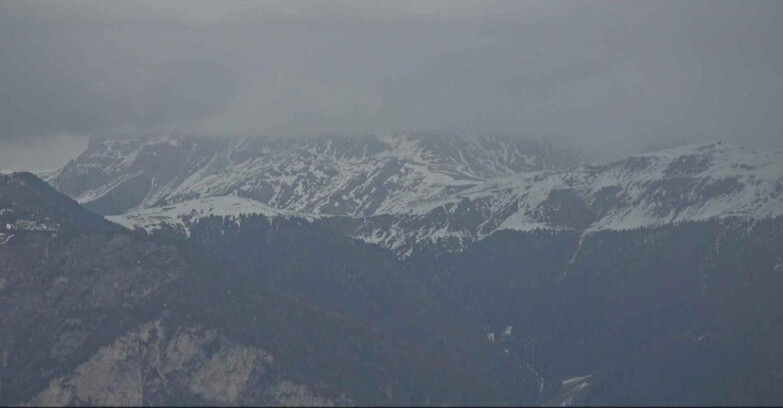 Webcam Alpe Cermis  - Il Pajon
