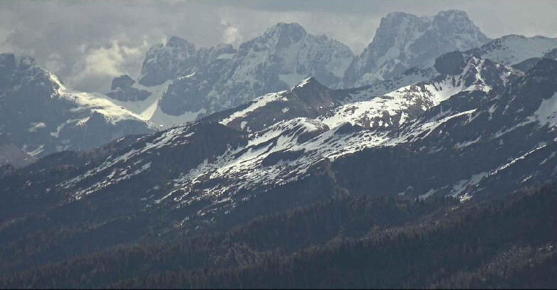 Webcam Alpe Cermis - Palagruppe
