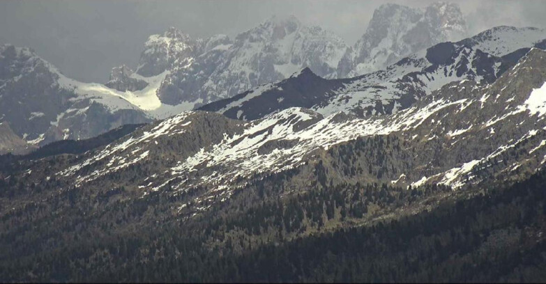 Webcam Alpe Cermis - Palagruppe