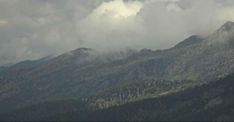 Webcam Alpe Cermis - Palagruppe