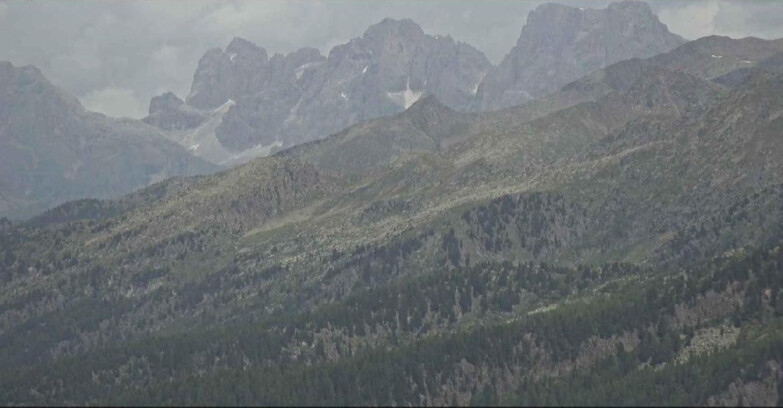 Webcam Alpe Cermis - Pale range