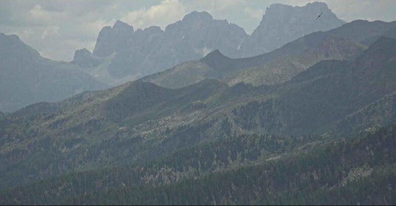 Webcam Alpe Cermis - Palagruppe