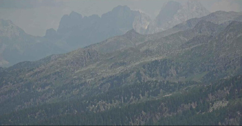Webcam Alpe-Cermis - Il gruppo delle Pale