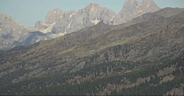 Webcam Alpe-Cermis - Il gruppo delle Pale