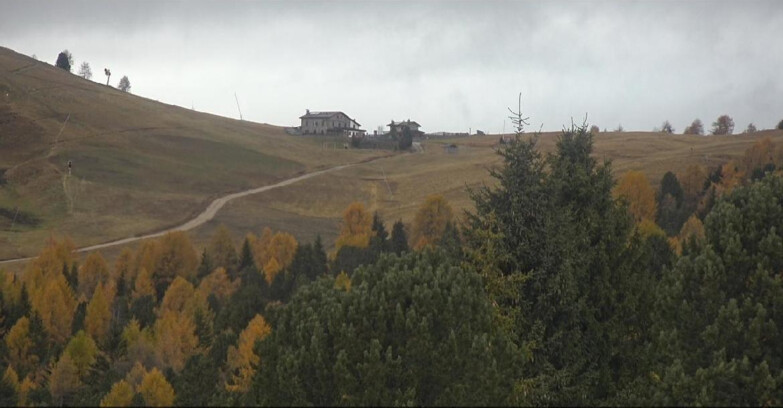 Webcam Белламонте-Альпе-Лусиа  - Pista Dolomitica