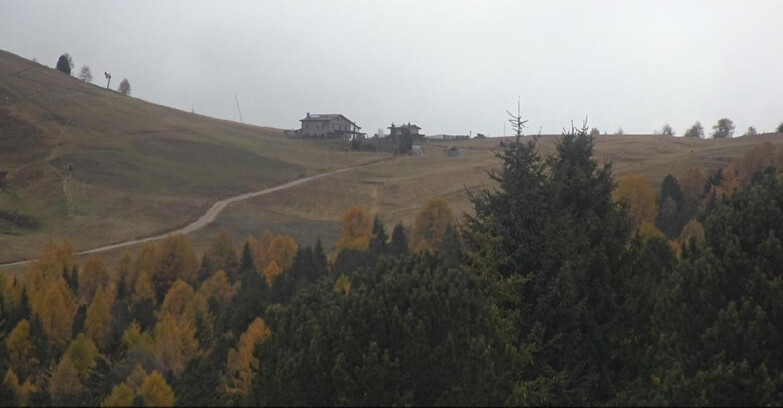 Webcam Bellamonte-Alpe Lusia  - Pista Dolomitica