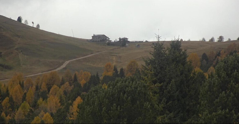 Webcam Bellamonte-Alpe Lusia  - Pista Dolomitica