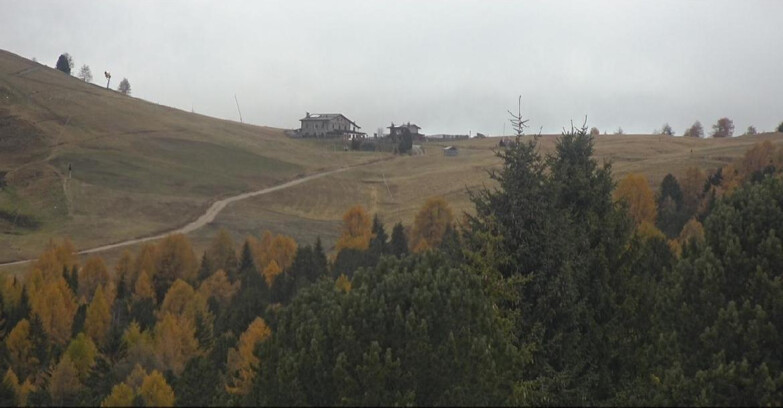 Webcam Bellamonte-Alpe Lusia  - Pista Dolomitica